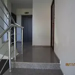 Appartement Studio Love *